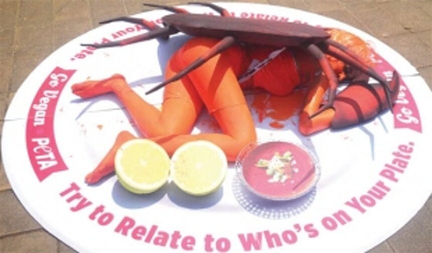 Giant ‘crab’ served on a plate to urge public to go vegan 1 Giant ‘crab’ served on a plate to urge public to go vegan