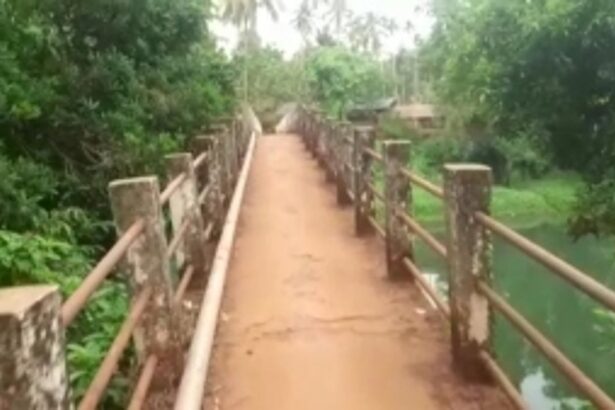 Give us better infrastructure, expand the Bagwada main bridge: Bagwada Morlem locals