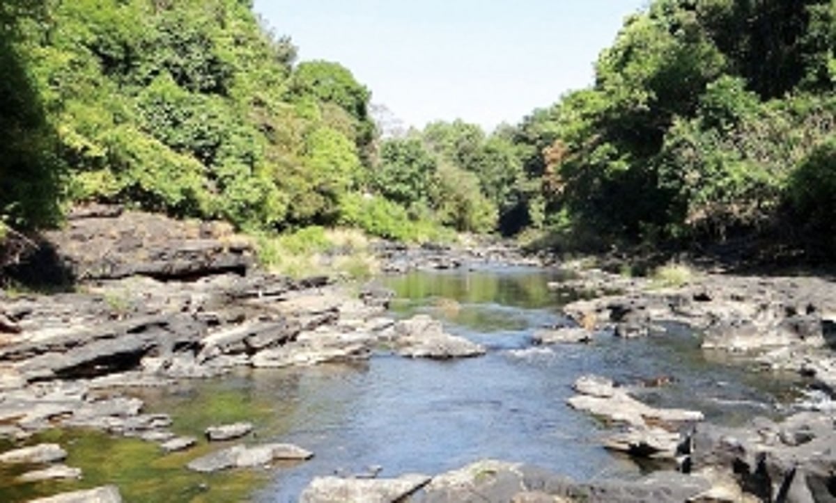 Goa - A treasure trove of environmental beauty and biodiversity