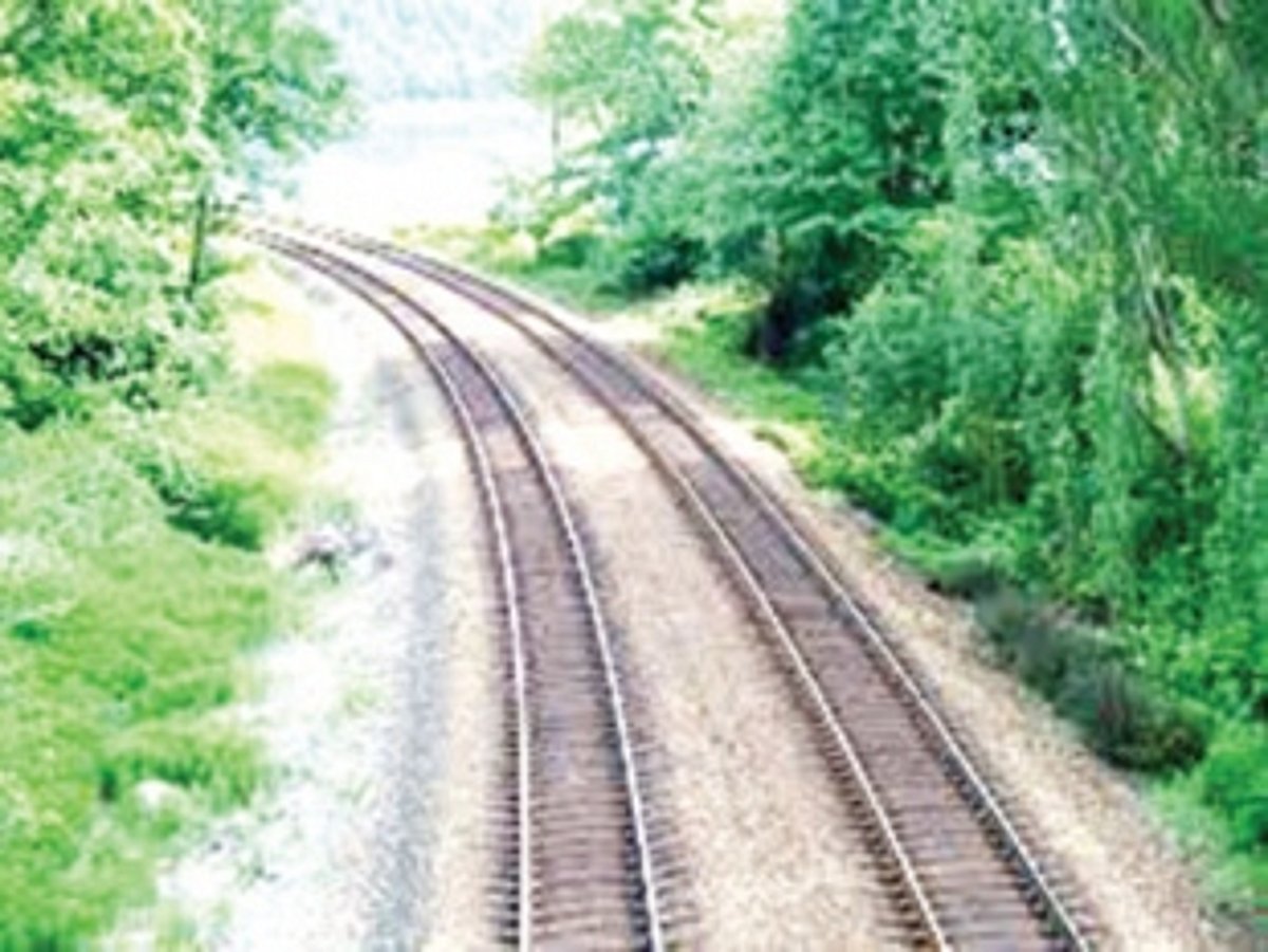 Goa Against Coal, villagers oppose proposed railway double-tracking
