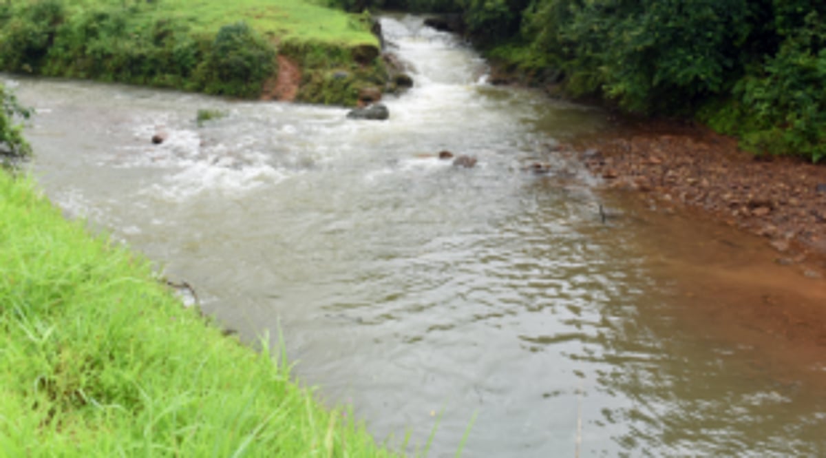 Goa BJP has sold Mhadei to Karnataka, CM must resign: AAP