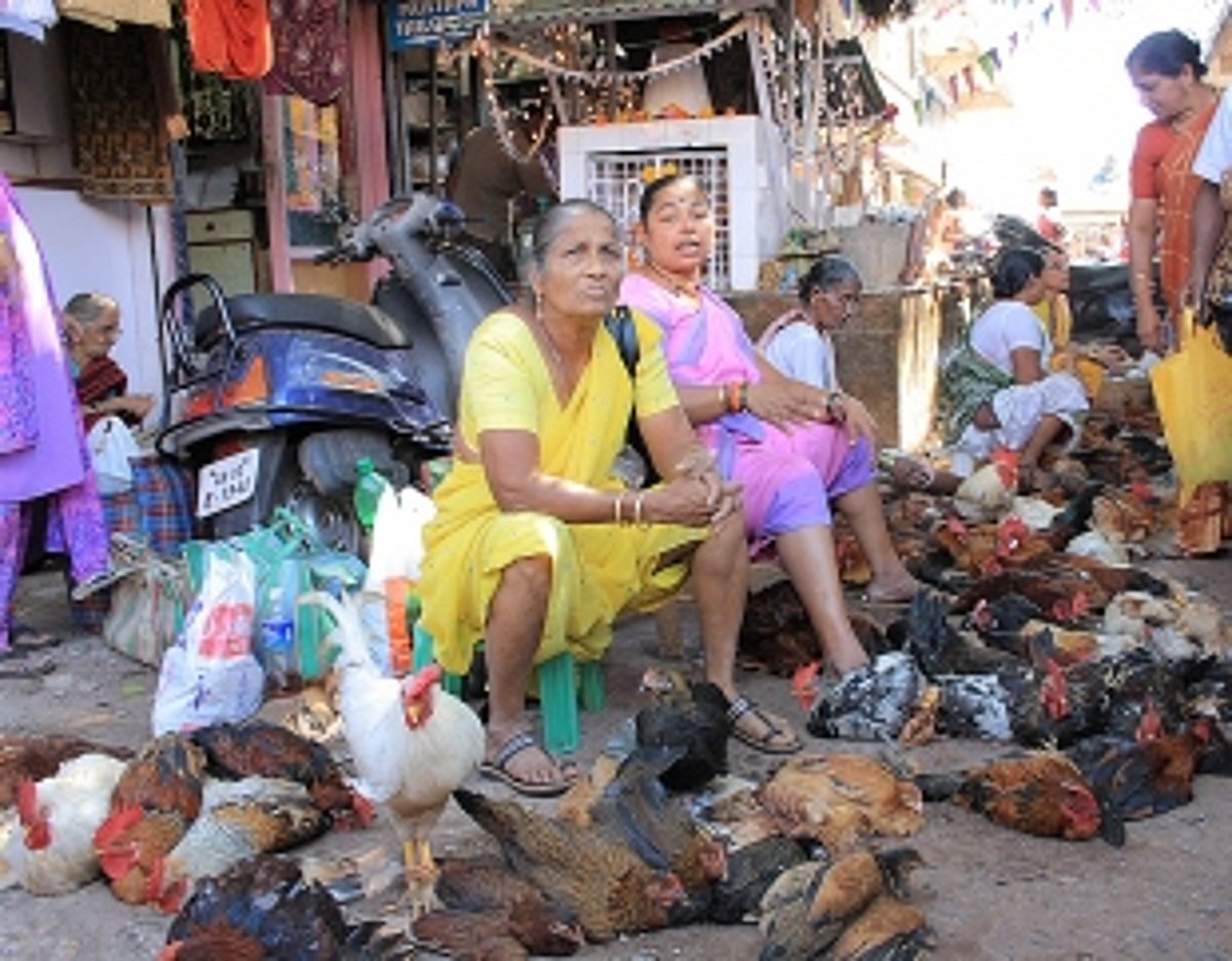 Goa Bazaar set to return