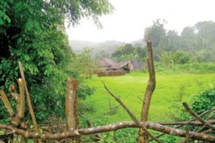Goa Beyond Its Beaches