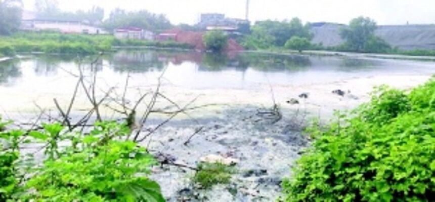 Goa CM to instruct Pollution Control Board to address factory pollution in Cuncolim Ind Estate