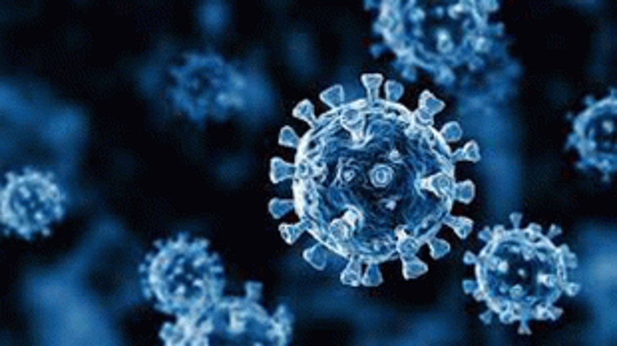 Goa COVID-19 tally surpasses that of China