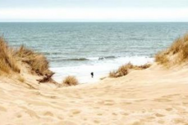 Goa CZMP 2021 (draft): sand dune fields R.I.P.