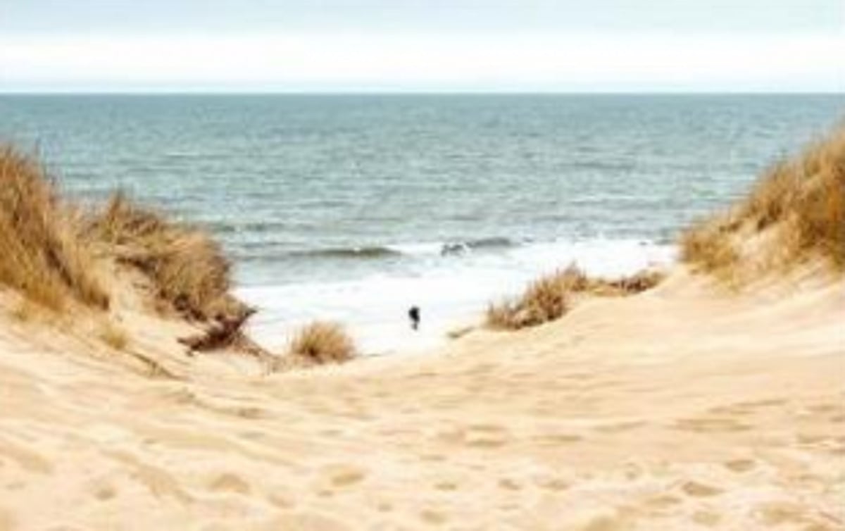 Goa CZMP 2021 (draft): sand dune fields R.I.P.