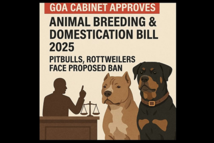 Goa Cabinet Approves Animal Breeding & Domestication Bill 2025; Pitbulls, Rottweilers Face Proposed Ban