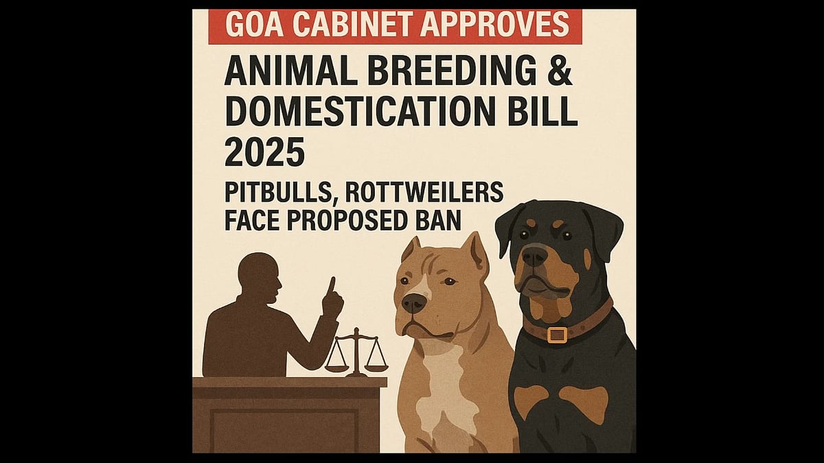 Goa Cabinet Approves Animal Breeding & Domestication Bill 2025; Pitbulls, Rottweilers Face Proposed Ban
