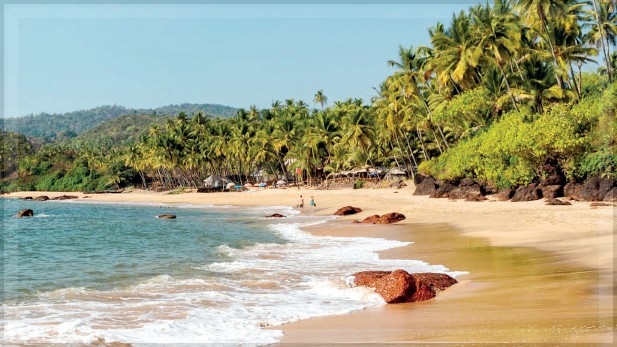 Goa Criticized for Five-Year Delay in Finalizing Coastal Zone Management Plan