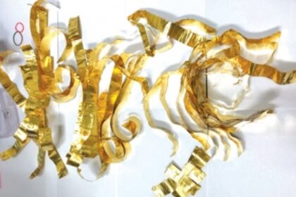 Goa Customs seize 580 grams of gold