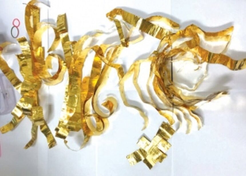 Goa Customs seize 580 grams of gold 1 Goa Customs seize 580 grams of gold