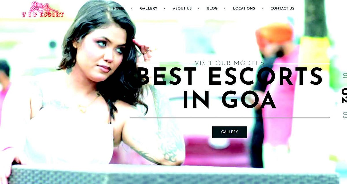 Goa Cyber Cell busts hi-tech sex trade website run via call centre