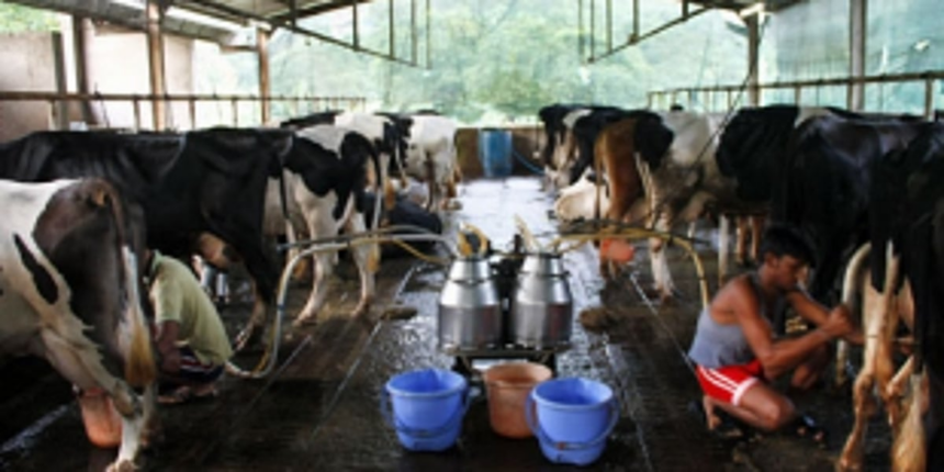 Goa Dairy AGM: Farmers  submit list of questions