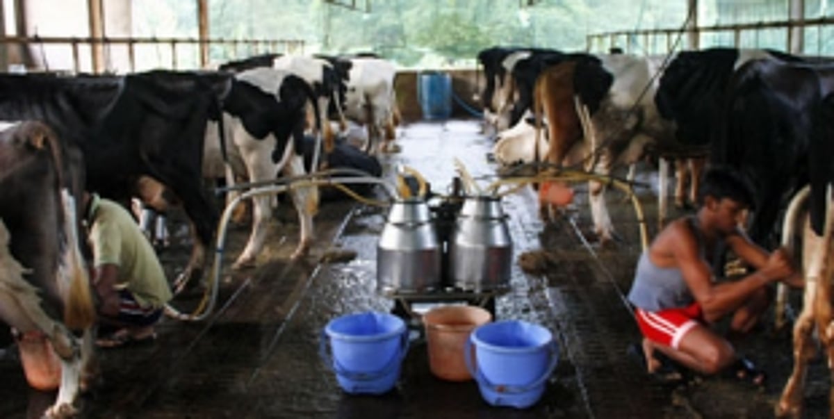 Goa Dairy to share 50%  profit with farmers