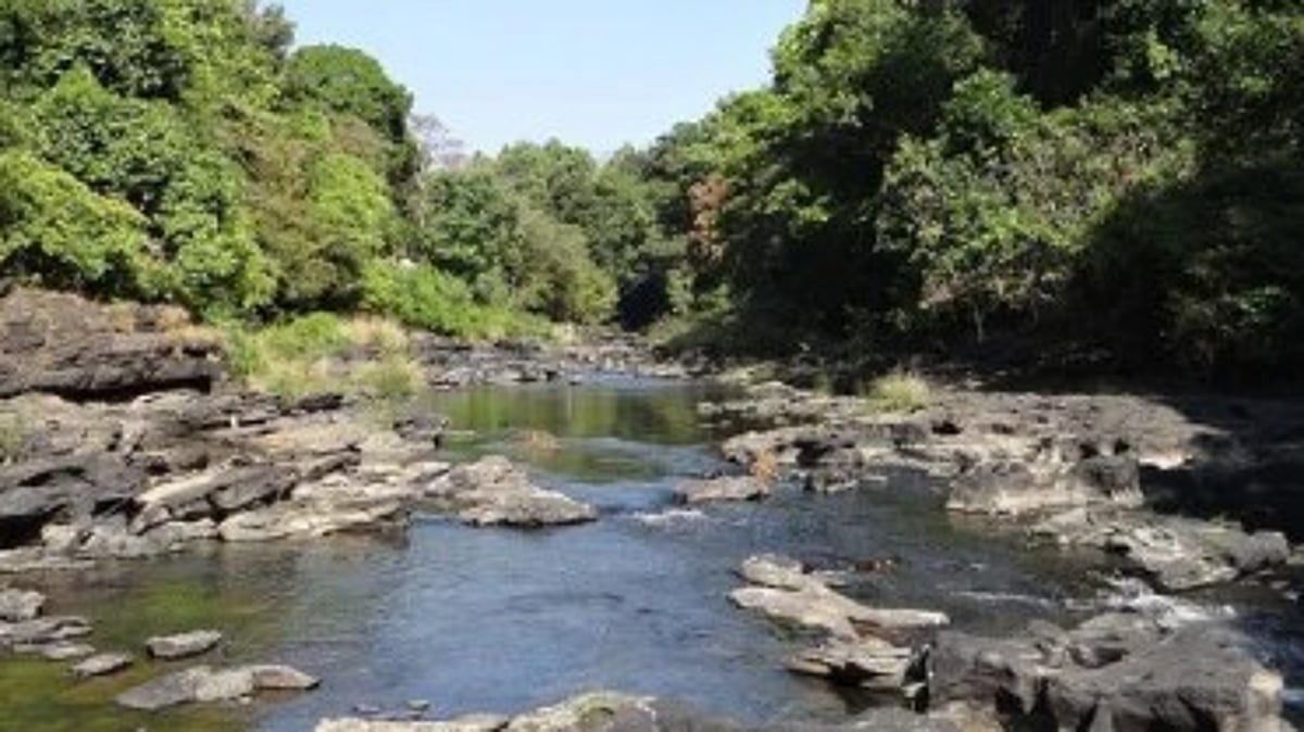 Goa Demands Joint Inspection of Mhadei River, Karnataka Opposes Citing Legal Proceedings