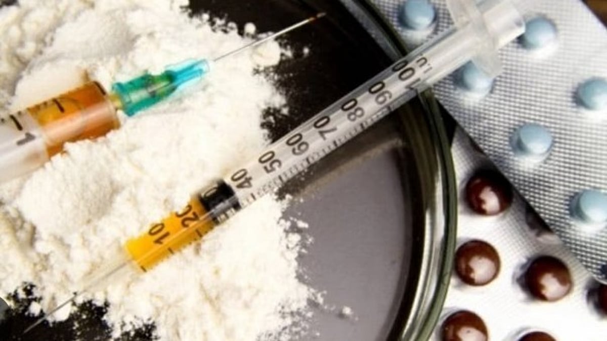Goa Drug Bust: Man Nabbed in Anjuna With Ganja, Hydroponic Weed, and ₹7 Lakh Cash