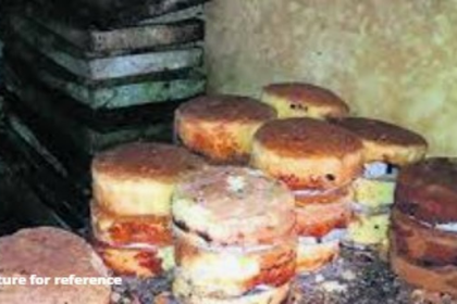 Goa FDA Cracks Down on Unhygienic Bakery Unit in Gausa Waddo, Retail Outlet Fined ₹10,000