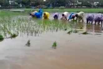 Goa Farmers to Receive 90% Subsidy on Biogas, Compost and Soil Care