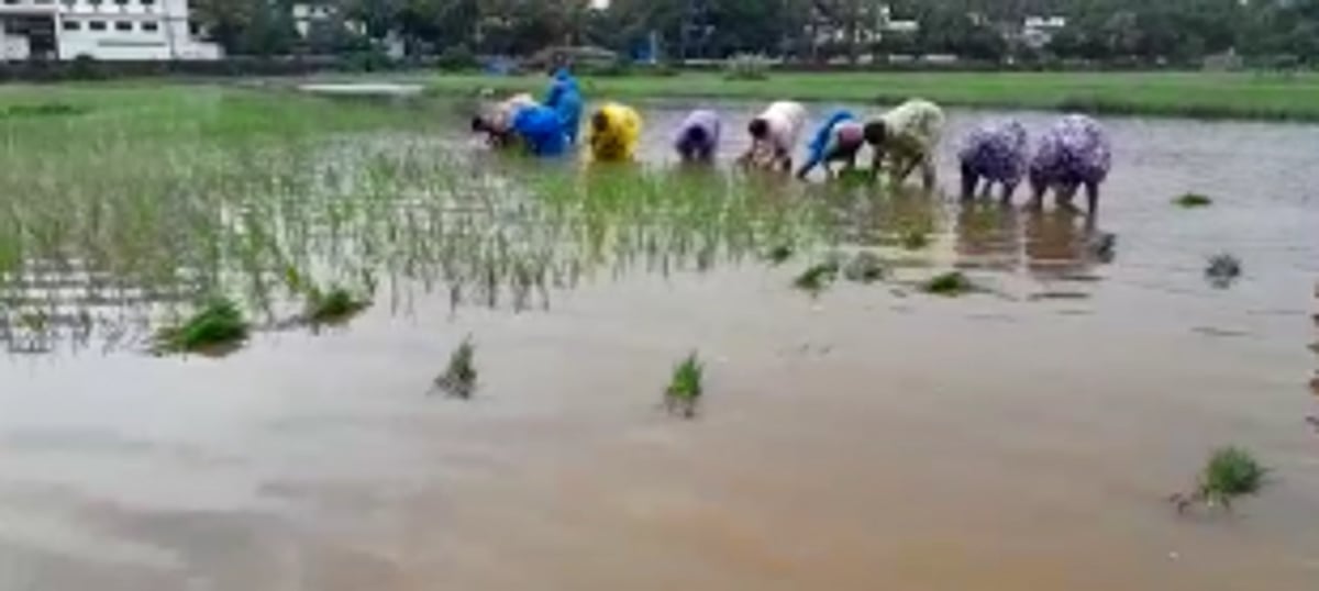 Goa Farmers to Receive 90% Subsidy on Biogas, Compost and Soil Care