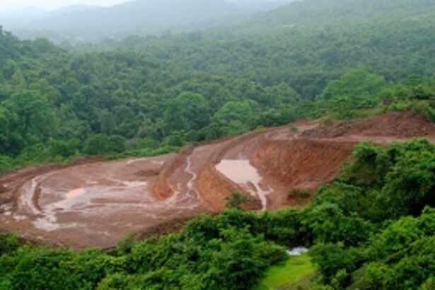 Goa Foundation objects to continuing mineral e-auctions