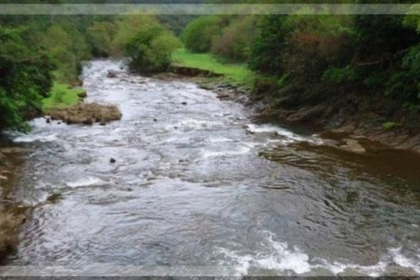 Goa Government Pledges Action on Mhadei River and Green Initiatives on Legislators' Day