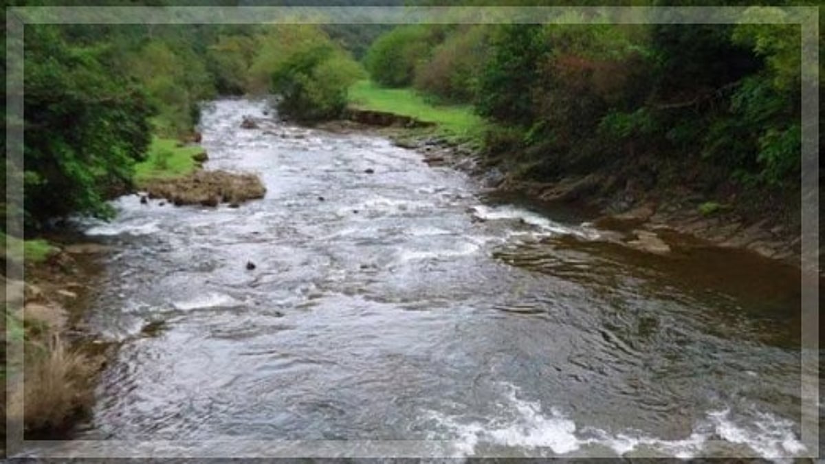 Goa Government Pledges Action on Mhadei River and Green Initiatives on Legislators' Day
