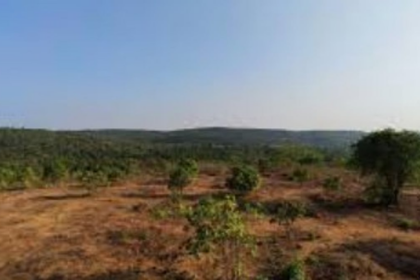 Goa Government Takes Over SEZ Land at Bhutkhamb-Keri for New Clean Project