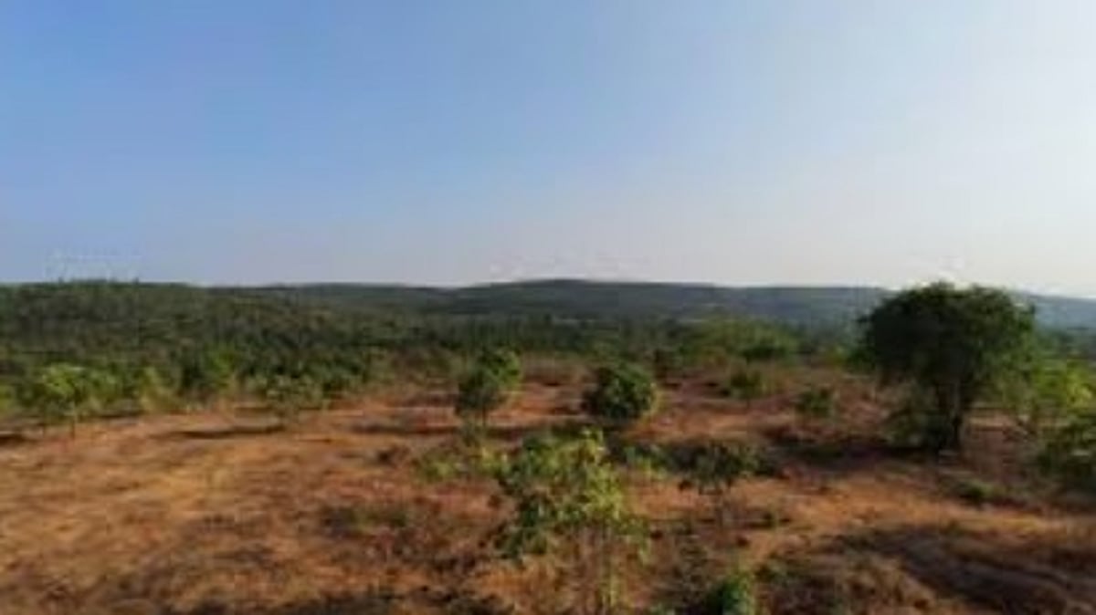 Goa Government Takes Over SEZ Land at Bhutkhamb-Keri for New Clean Project