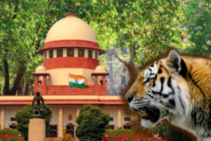 Goa Govt Challenges HC's Tiger Reserve Mandate in SC