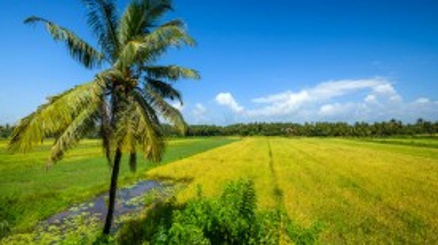 Goa Govt Moves to Declare 30 Comunidades in Default Over Election Failures 1 Goa Govt Moves to Declare 30 Comunidades in Default Over Election Failures