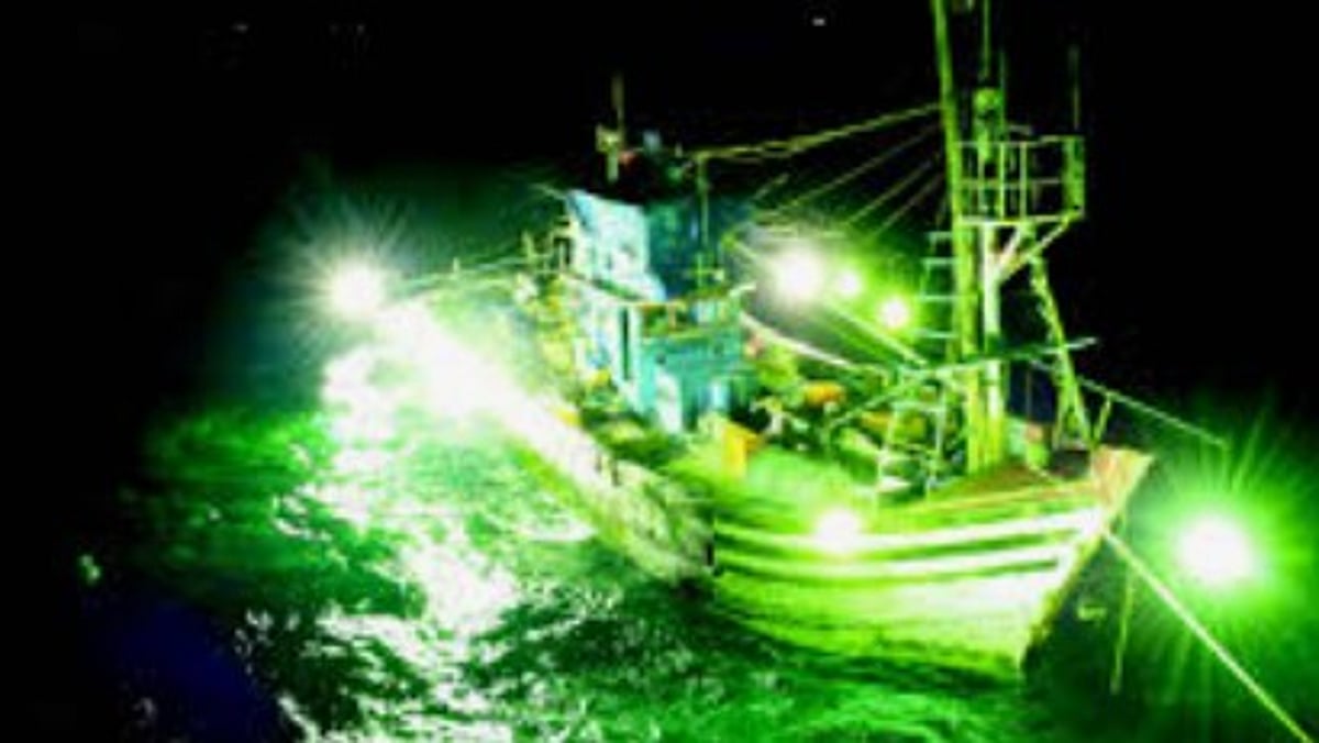 Goa High Court Bans LED, Bull, and Pair Trawling: Major Win for Traditional Fishermen