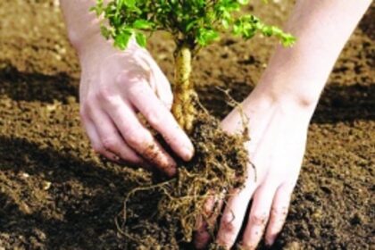 Goa Inc doing its bit for a greener State
