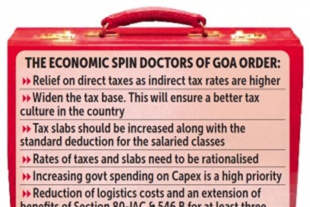 Goa Inc prescribes financial medicines on budget eve