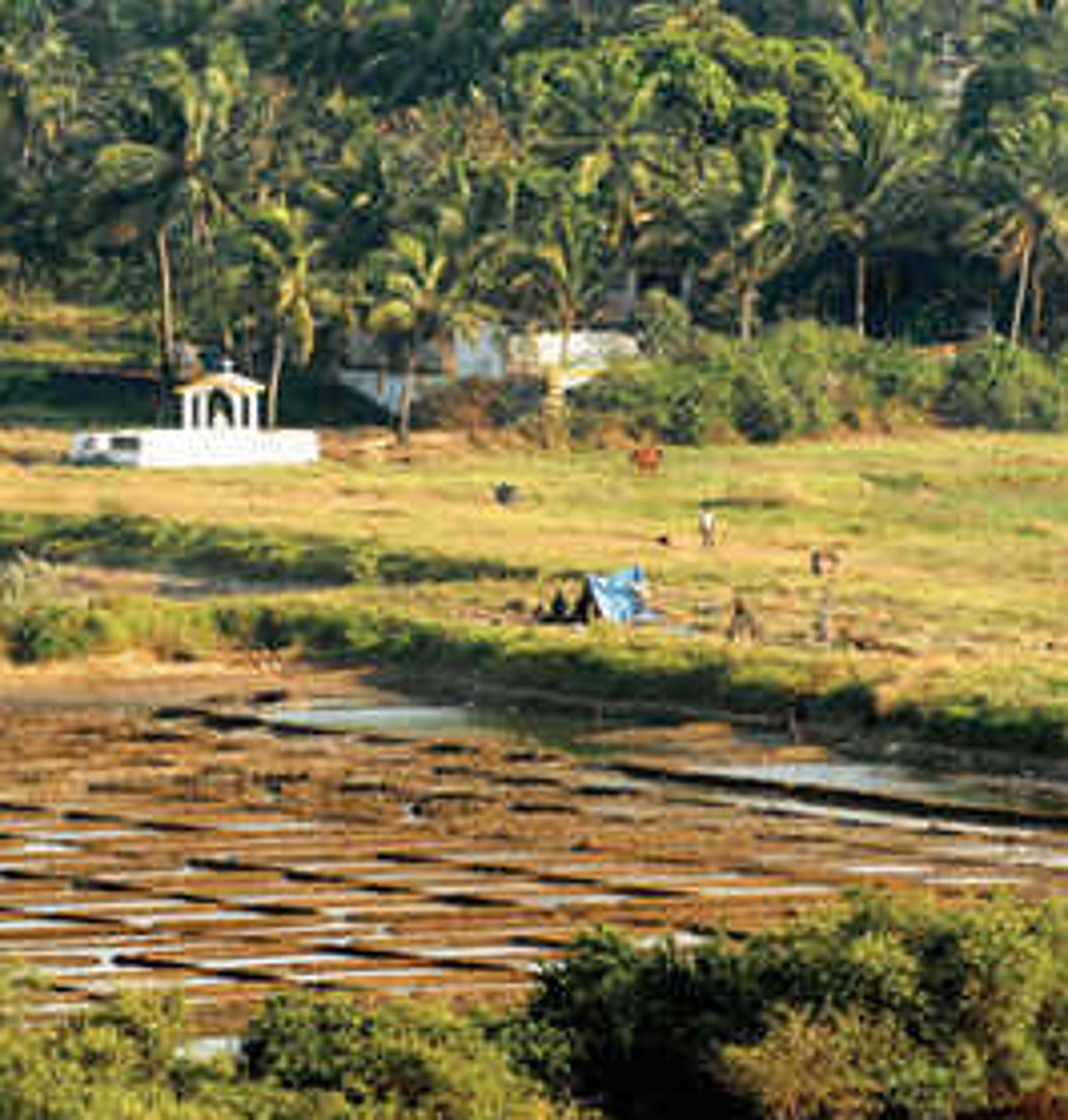 Goa Land Revenue  Rules modified