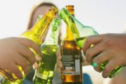 Goa Liquor Traders Demand Police Crackdown on Public Drinking to Protect State's Image