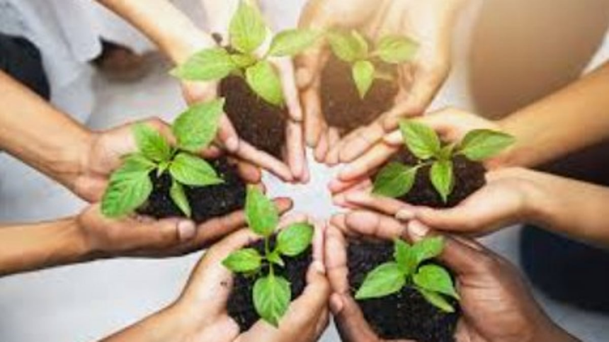 Goa Mandates Canvas Shoes for Students in All Schools to Promote Environmental Sustainability 1 Goa Mandates Canvas Shoes for Students in All Schools to Promote Environmental Sustainability