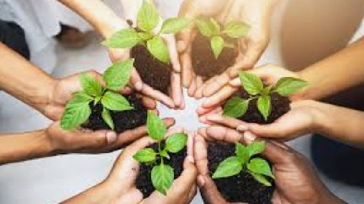 Goa Mandates Canvas Shoes for Students in All Schools to Promote Environmental Sustainability