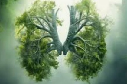 Goa Minister Leads Meeting to Implement Green Lung Concept Across Municipalities