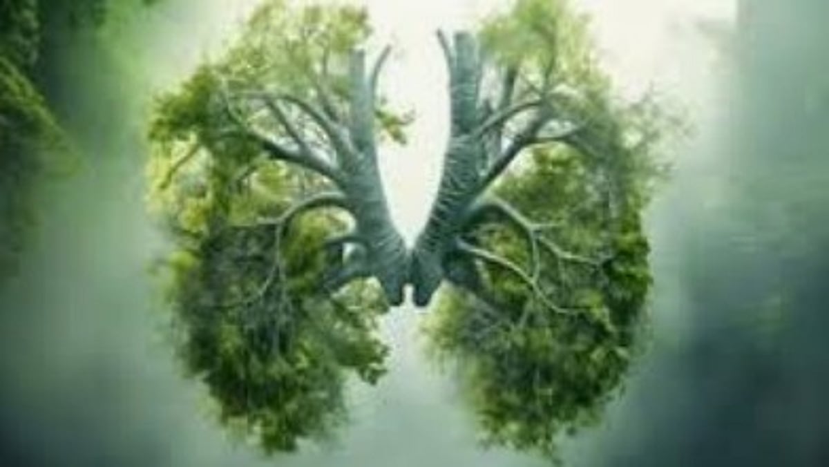 Goa Minister Leads Meeting to Implement Green Lung Concept Across Municipalities