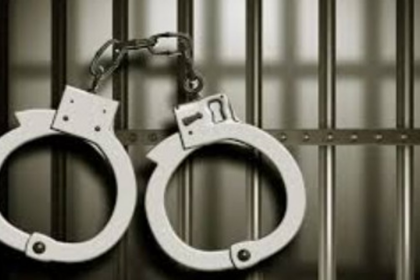 Goa Police Arrest Key Player in International Hydroponic Marijuana Drug Ring