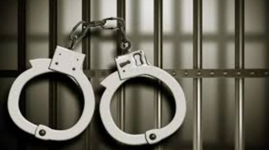 Goa Police Arrest Key Player in International Hydroponic Marijuana Drug Ring 1 Goa Police Arrest Key Player in International Hydroponic Marijuana Drug Ring