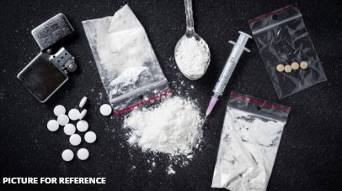 Goa Police Destroy 26.7 Kg of Seized Drugs After Completion of NDPS Trials