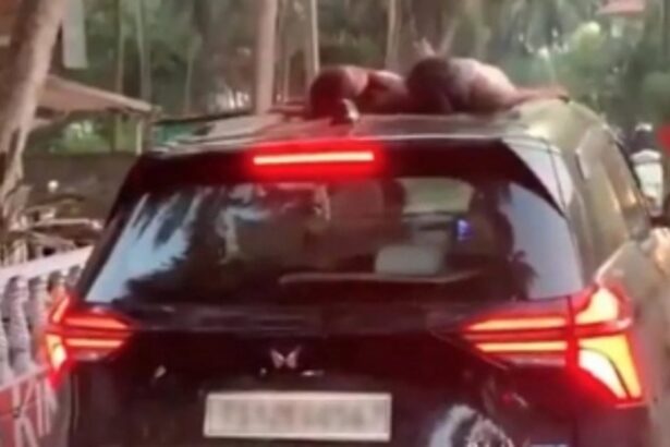 Goa Police Pursue Driver After Viral Video Shows Children Sleeping on Sunroof