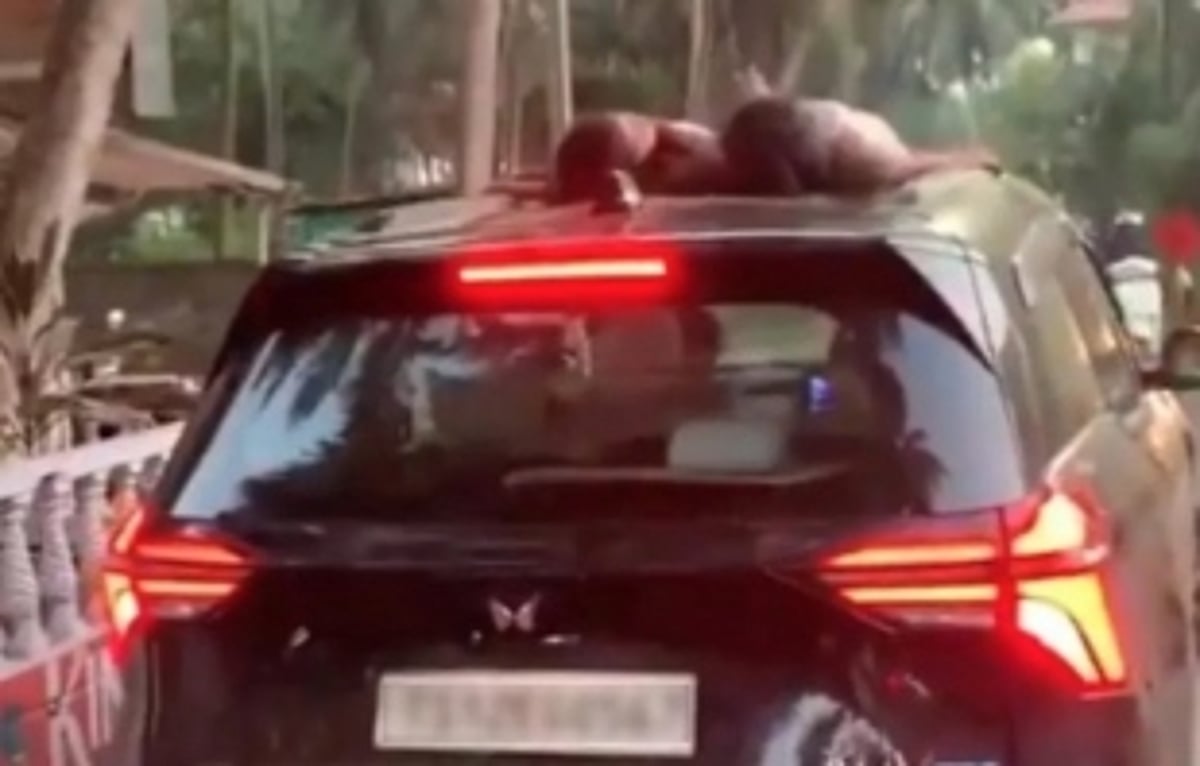Goa Police Pursue Driver After Viral Video Shows Children Sleeping on Sunroof