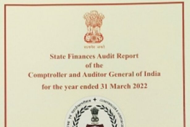 Goa Police paid ‘avoidable’ late fee of Rs 2.39 cr over delay in paying annual spectrum charges: CAG