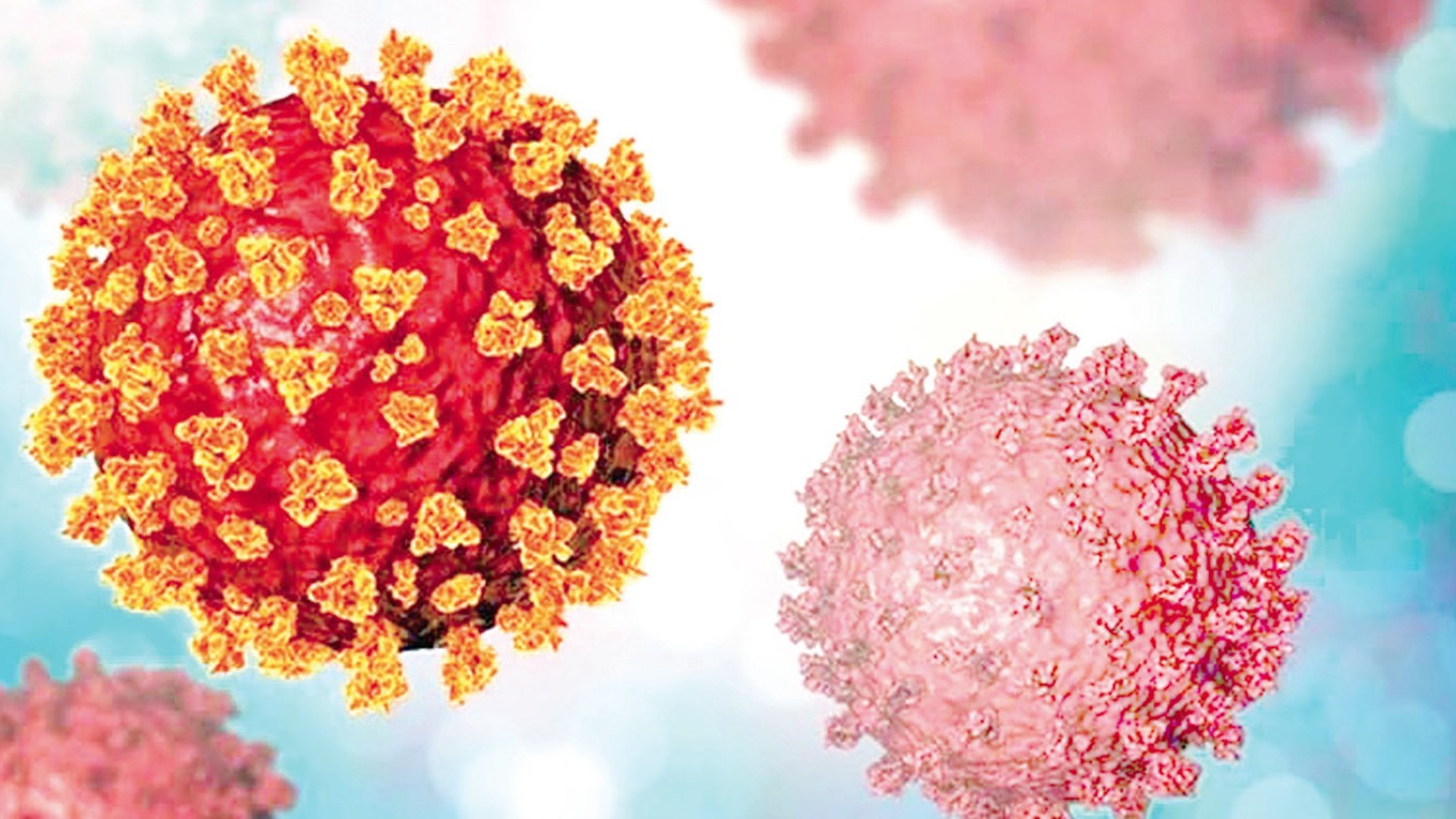 Goa Reports First COVID Case in Months as 70-Year-Old Tests Positive in Vasco