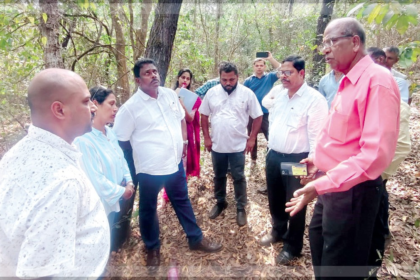 Goa SC/ST Panel Orders Forest Dept to Allow Traditional Cremations at Khandepar