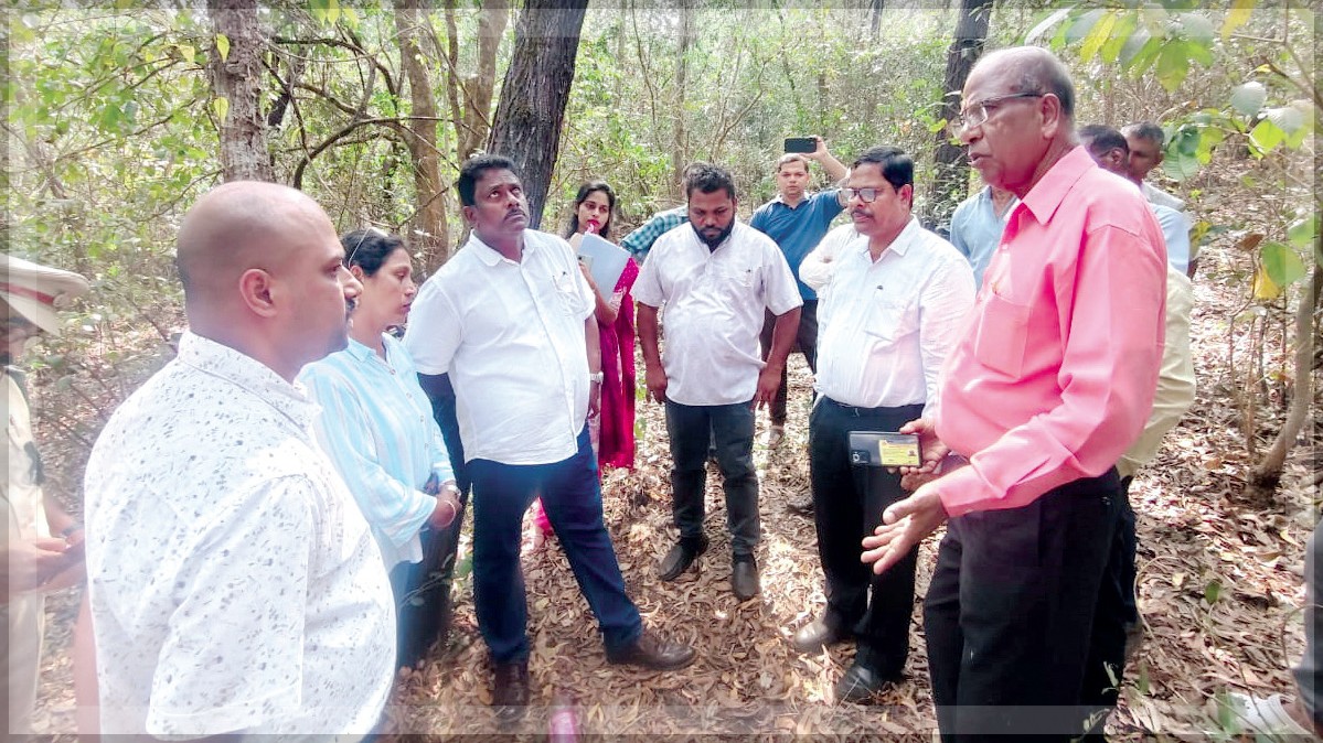 Goa SC/ST Panel Orders Forest Dept to Allow Traditional Cremations at Khandepar