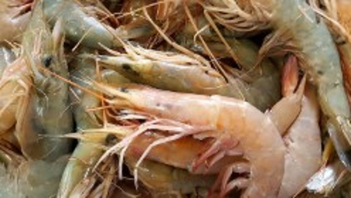 Goa Seafood Exporters Unfazed by US Tariff Hike as Trade with America Near Zero